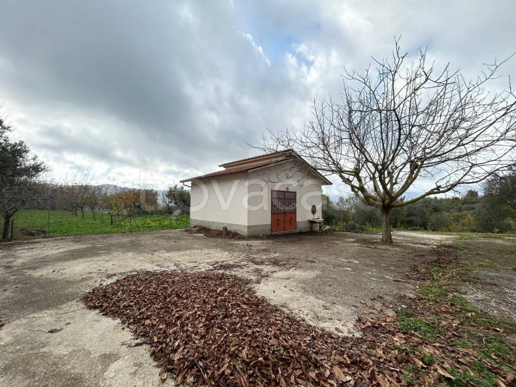 immagine annuncio 3 di 6