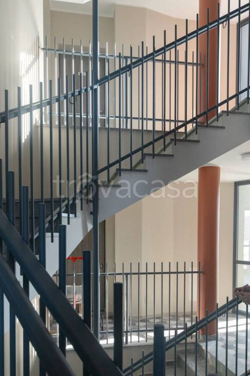 immagine annuncio 5 di 14
