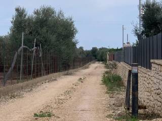 Terreno agricolo in vendita a trani strada vicinale farucci