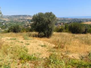 Terreno agricolo all'asta a tortoreto via martin luther king