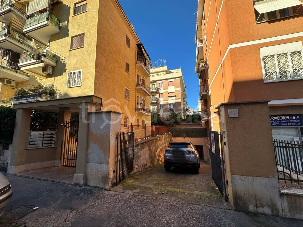immagine annuncio 3 di 13
