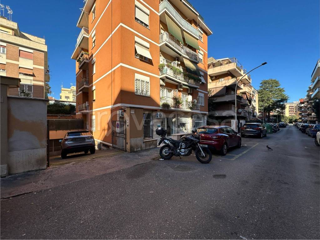 immagine annuncio 2 di 13