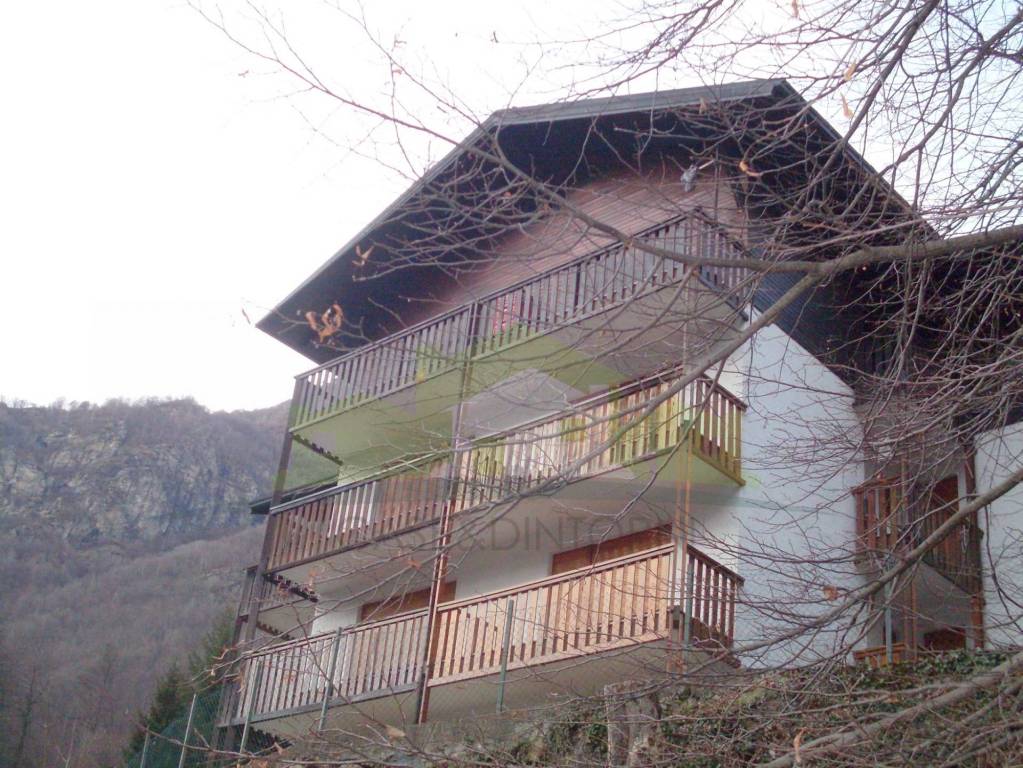 immagine annuncio 4 di 13