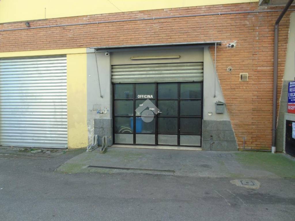 immagine annuncio 3 di 14