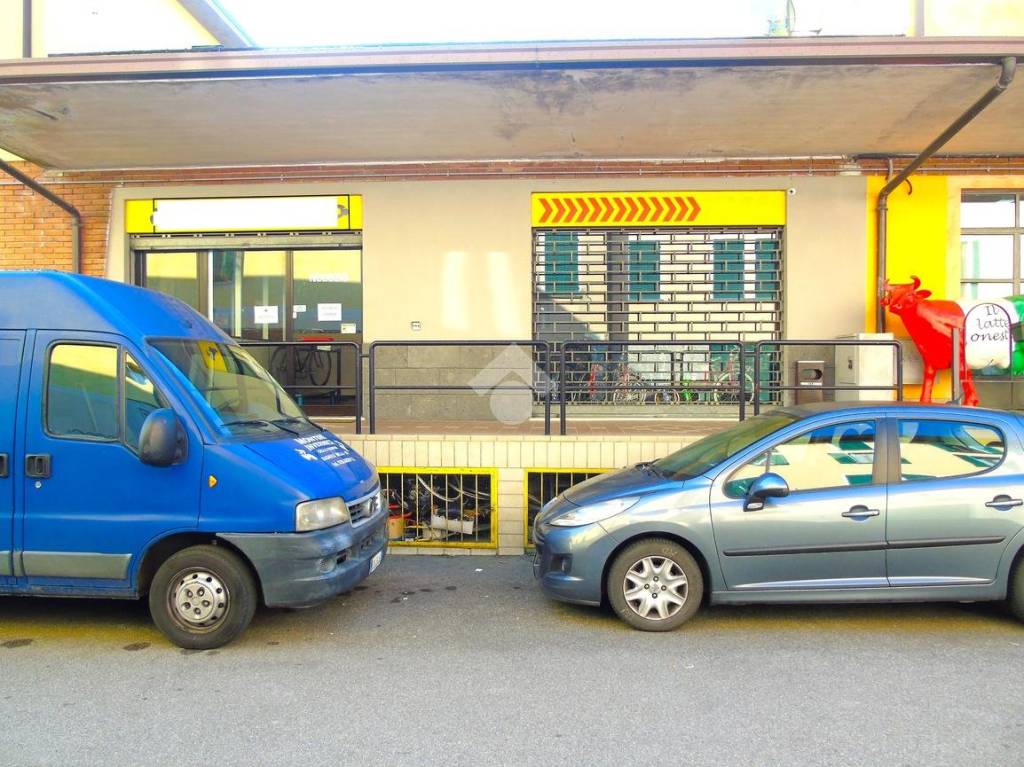 immagine annuncio 2 di 14