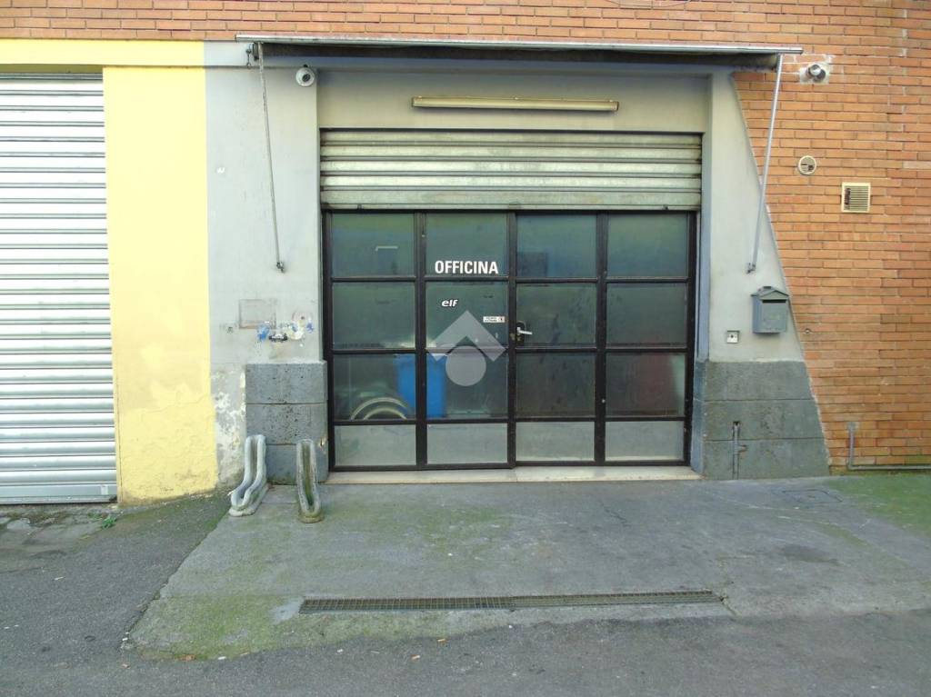 immagine annuncio 4 di 14