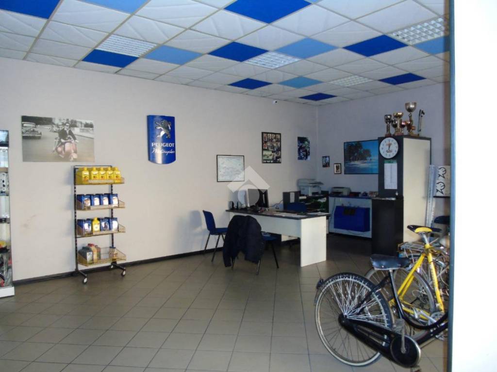 immagine annuncio 8 di 14