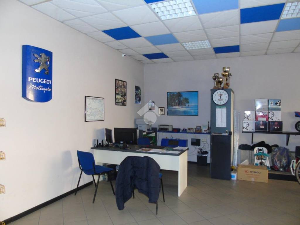 immagine annuncio 10 di 14