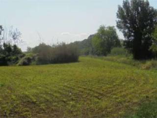 Terreno agricolo all'asta a lastra a signa località ginestra