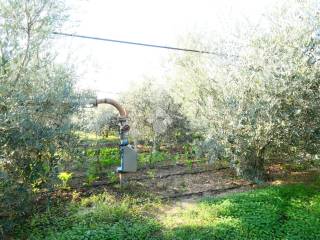 Terreno agricolo in vendita a policoro via petrullo, 1