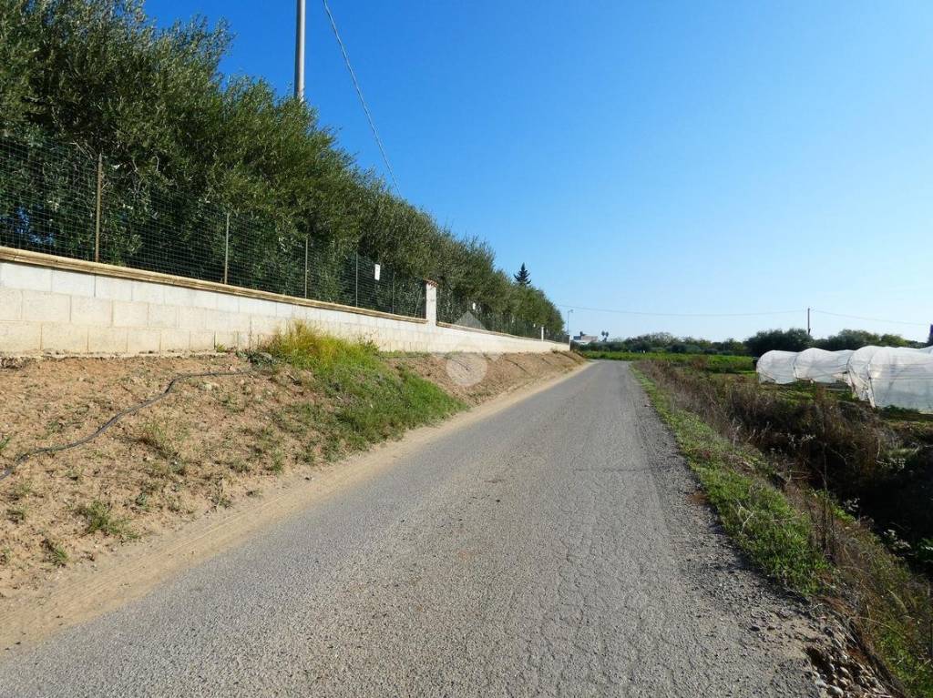 immagine annuncio 2 di 12