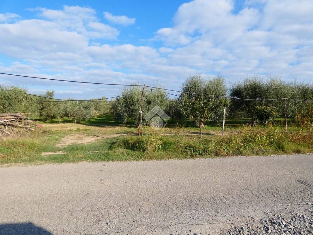 immagine annuncio 8 di 12