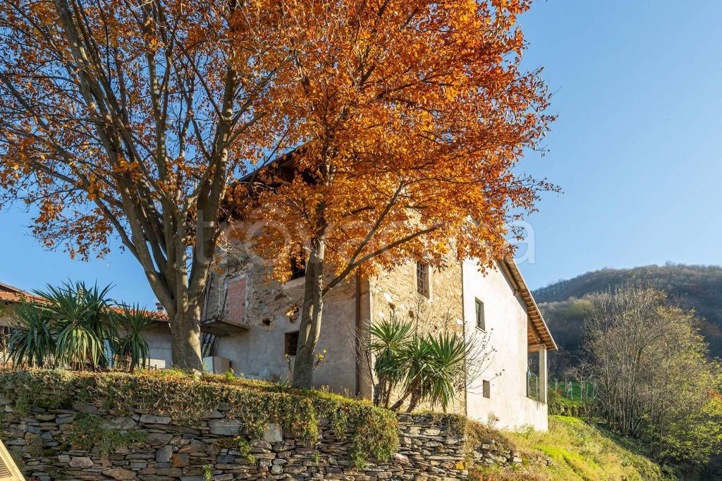 immagine annuncio 2 di 13