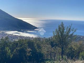 Terreno agricolo in vendita a torraca località cordici