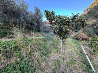 Terreno agricolo in vendita a savona 