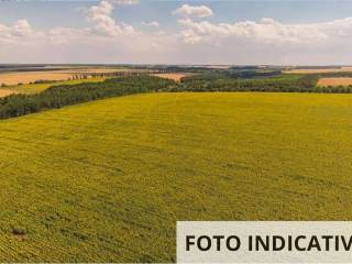 Terreno residenziale all'asta a occhiobello via boccalara