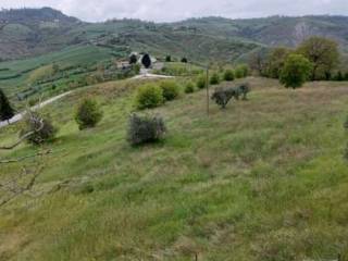 Terreno agricolo all'asta a borghi via gorolo