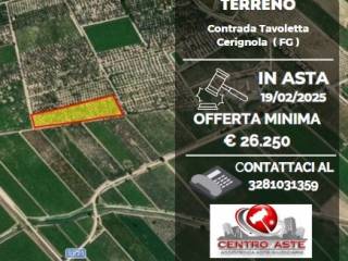 Terreno agricolo all'asta a cerignola contrada tavoletta, cerignola, via sull'ofanto, via pantanella, 71042 cerignola fg, italia