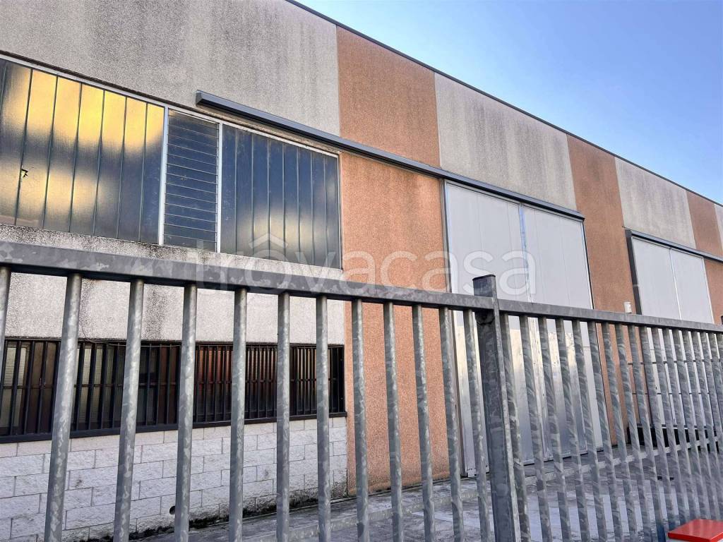 immagine annuncio 9 di 10