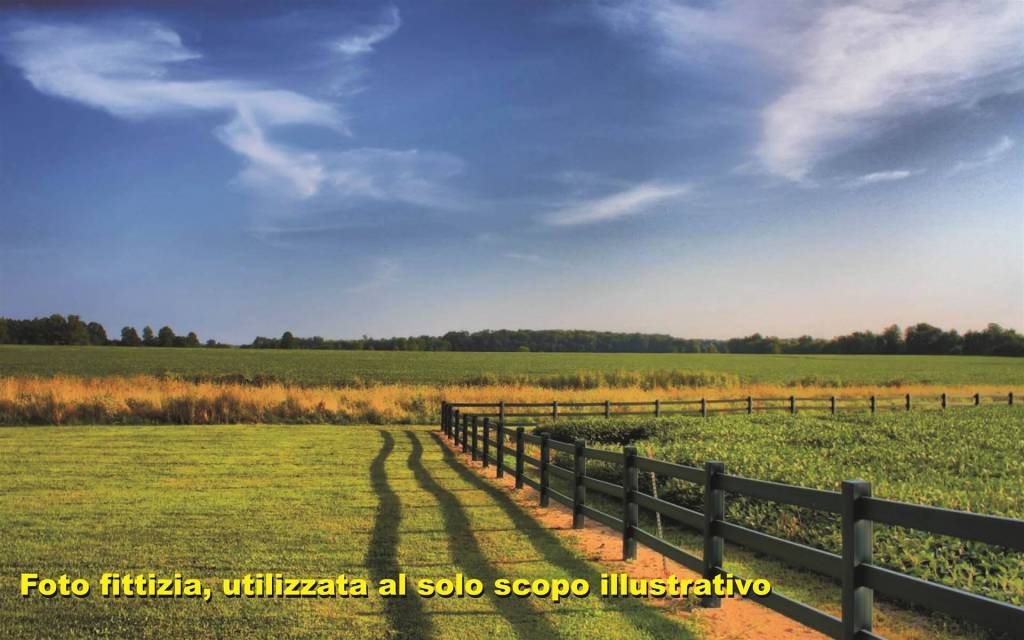 immagine annuncio 5 di 7