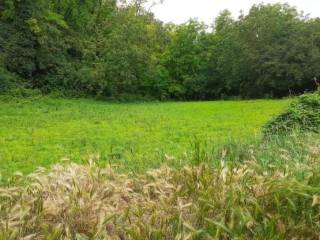 Terreno agricolo all'asta a borgoratto mormorolo localita' conco, snc