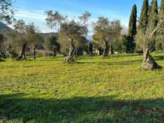 Terreno agricolo in vendita a priverno via boschetto