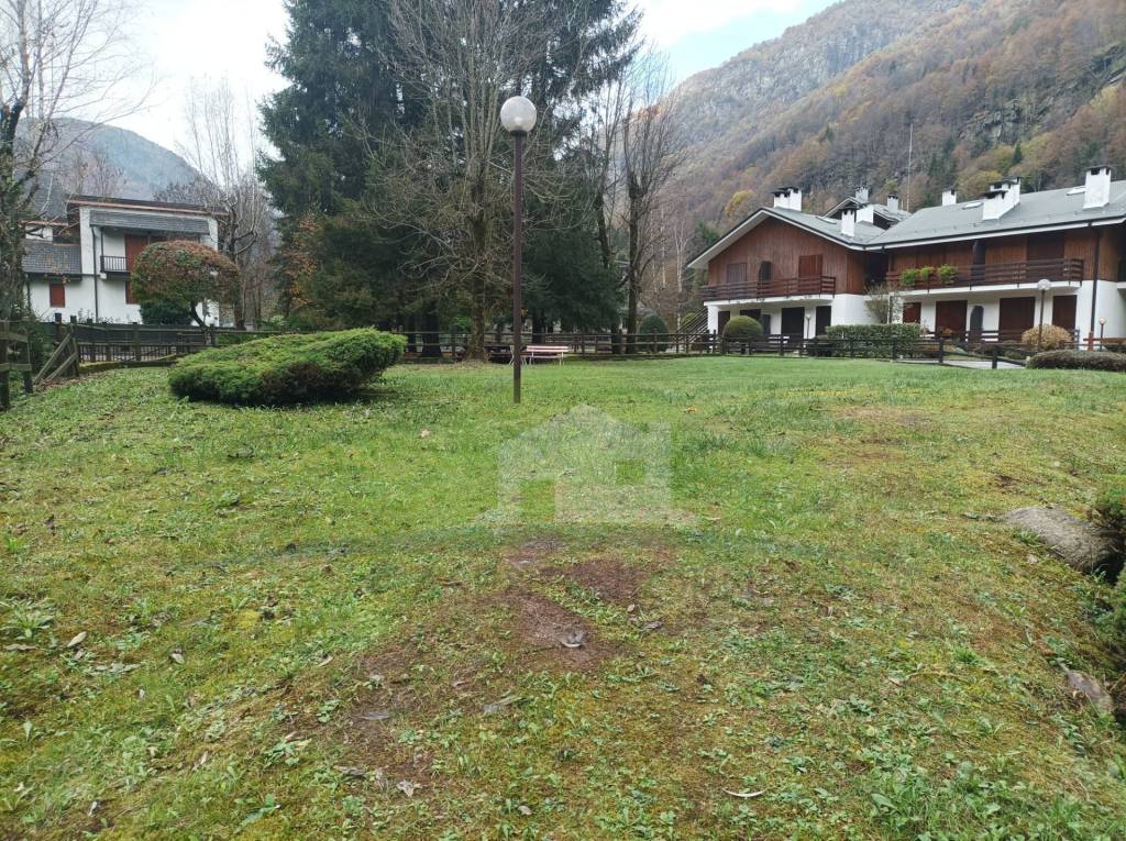 immagine annuncio 12 di 13