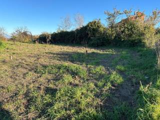 Terreno agricolo in affitto a napoli strada vicinale soffritto, 71