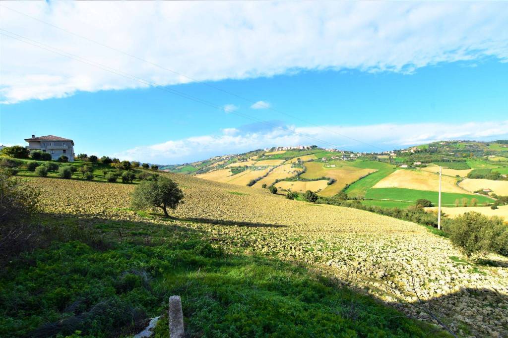 immagine annuncio 6 di 13