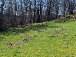 Terreno agricolo all'asta a zeri sp36