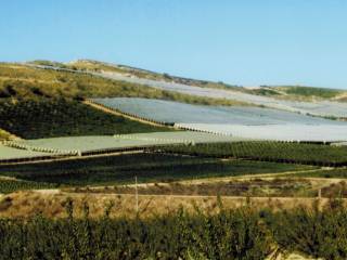 Terreno agricolo all'asta a butera strada statale della valle del salso