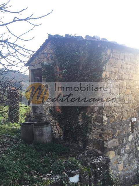 immagine annuncio 3 di 12