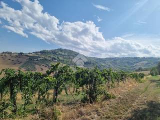 Terreno agricolo in vendita a cellino attanasio via sp23, 10