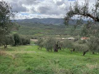 Terreno residenziale in vendita a furnari sp101