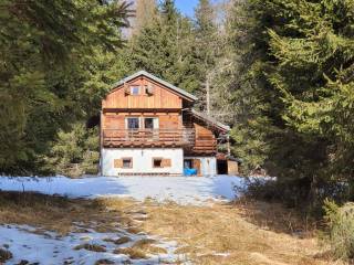 Chalet in in affitto da privato a danta di cadore via monte piedo, 18