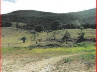 Terreno agricolo all'asta a cantiano sp50