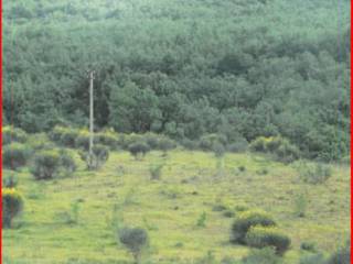 Terreno agricolo all'asta a cantiano sp50