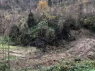 Terreno edificabile all'asta a urbania viale nicasio nardi