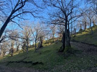 Terreno agricolo in vendita a canepina località montarone, 10