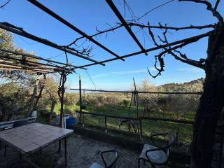 Terreno agricolo in vendita a canepina località pietra del corvo, 10