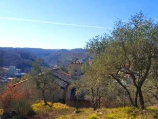 Terreno agricolo in vendita a canepina via portapiagge s.n.c.