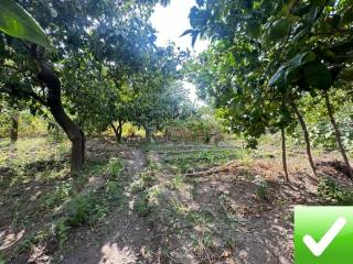 Terreno agricolo in vendita a reggio di calabria 