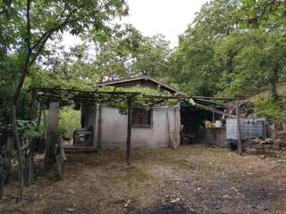 Terreno agricolo in vendita a canepina area residenziale località mallevalle canepina