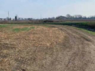 Terreno agricolo all'asta a sorgà via della giara