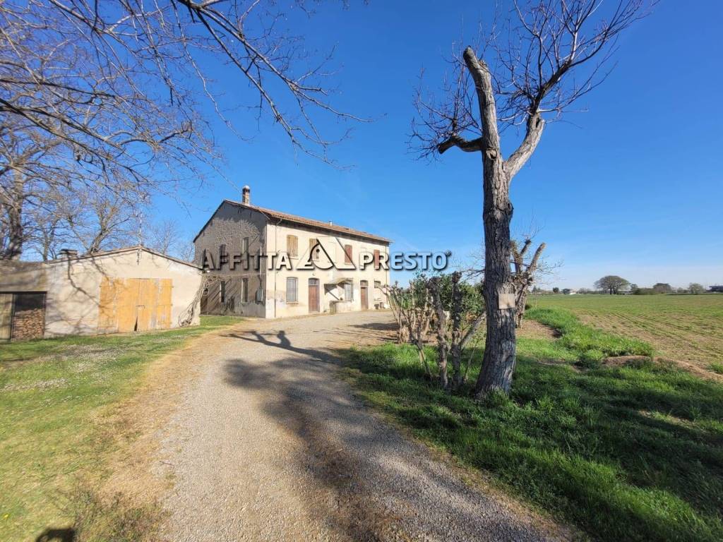 immagine annuncio 2 di 4