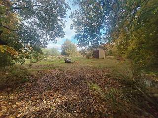 Terreno agricolo in vendita a castiglione della pescaia 