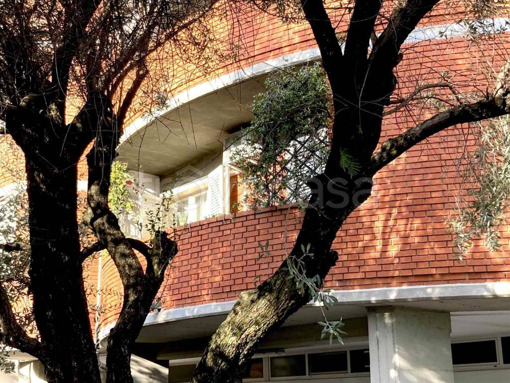 appartamento in vendita a Massa in zona Centro Storico