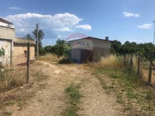 Terreno agricolo in vendita a corigliano-rossano 