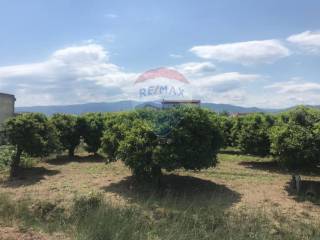 Terreno agricolo in vendita a corigliano-rossano 