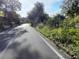 Terreno agricolo in vendita a palma campania via provinciale per castello